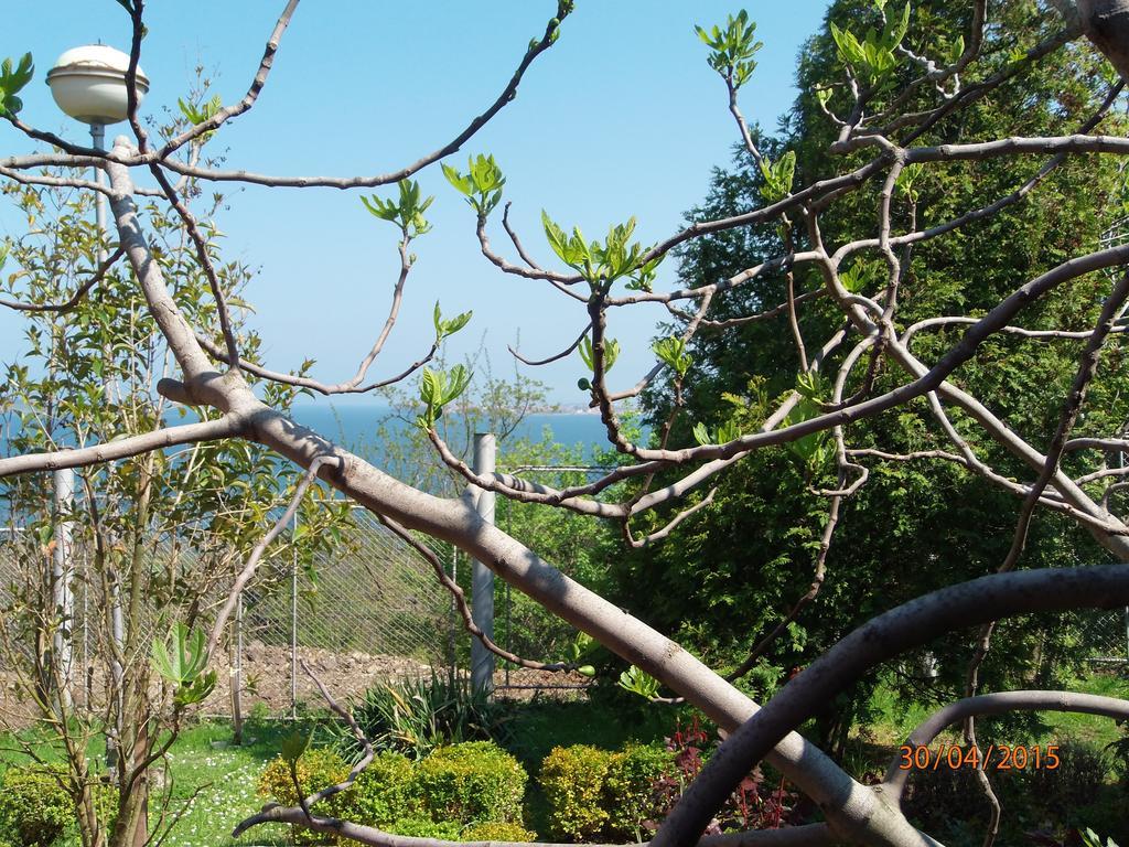 Villas And Bungalows Panorama TTchernomorets Extérieur photo