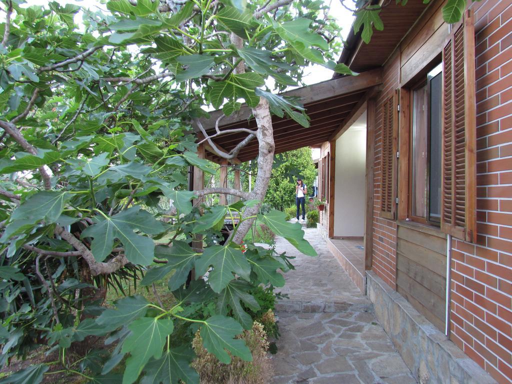 Villas And Bungalows Panorama TTchernomorets Extérieur photo