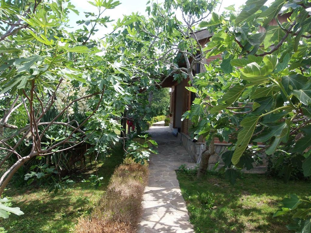 Villas And Bungalows Panorama TTchernomorets Extérieur photo