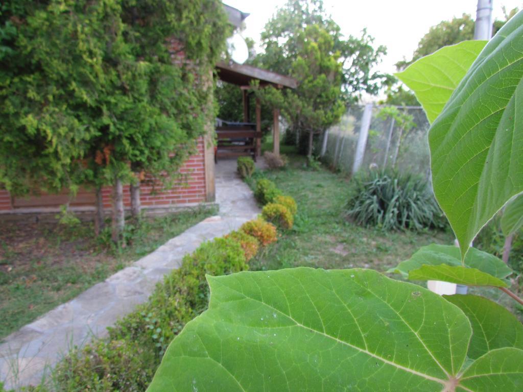 Villas And Bungalows Panorama TTchernomorets Extérieur photo