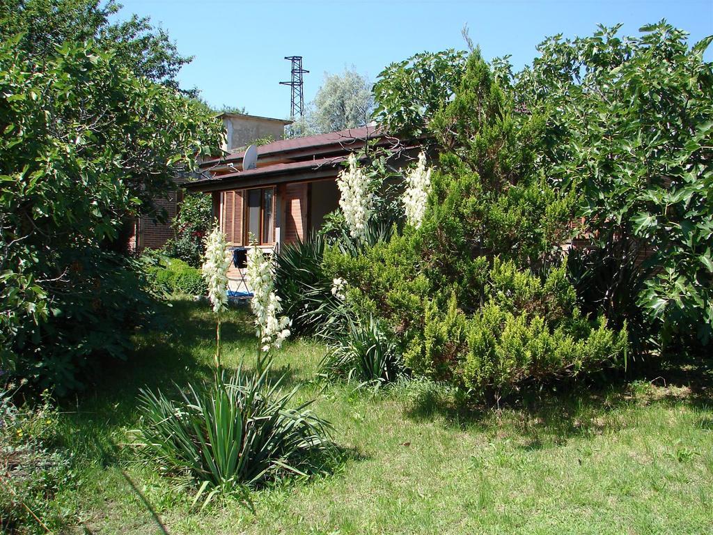 Villas And Bungalows Panorama TTchernomorets Extérieur photo