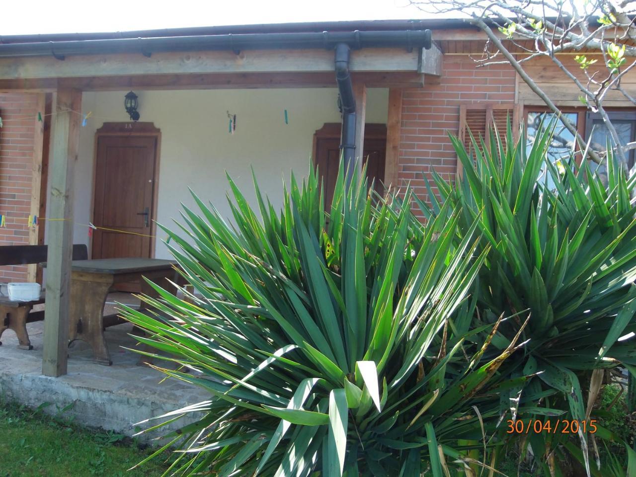 Villas And Bungalows Panorama TTchernomorets Extérieur photo